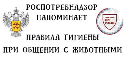 Гигиена Животные