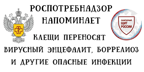 Клещи